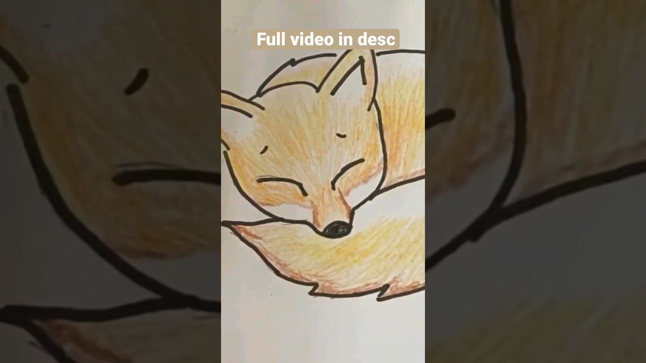 How To Draw a Sleeping Fox 