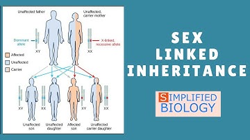 Sex Linked Inheritance for NEET, AIIMS, JIPMER, MCAT, AIPMT, PREMED