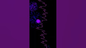 Auld Lang Syne (or Sine ;) #moog #music #happynewyear #auldlangsyne