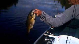 Boundary Waters September 2010 003