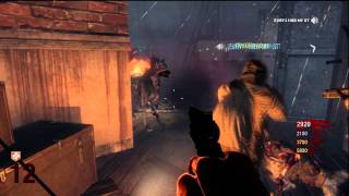 Black Ops :: Zombies Hell Hound Glitch