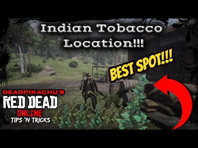 indian tobacco location Indian Tobacco Location (Best Spot!!!)