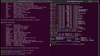 cursos/0020-golang-ambiente-e-ferramentas-de-desenvolvimento-da-linguagem-go: Como Instalar a Versão Mais Atual do Go Golang no Ubuntu Linux com o Arquivo Tar Gz
