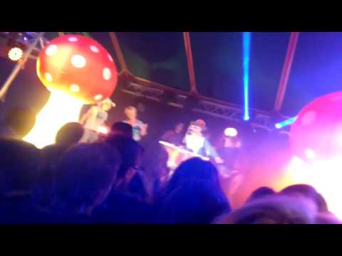 Billy z kick - OCB