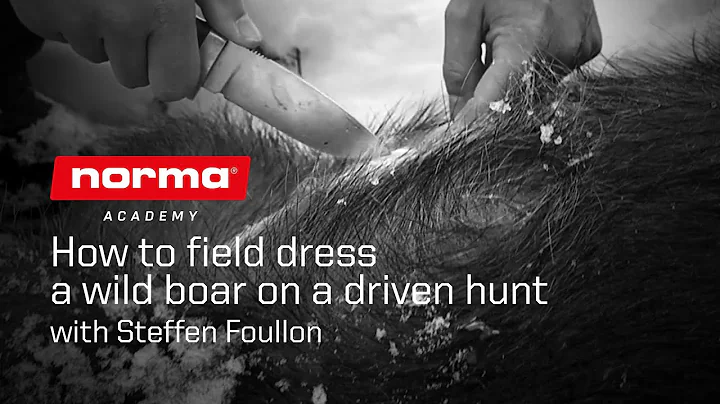 How to field dress a wild boar on a driven hunt | ...