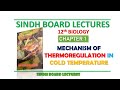 Sindh Board Lectures 12th Biology Mechanism of Thermoregulation in Hot Temperature