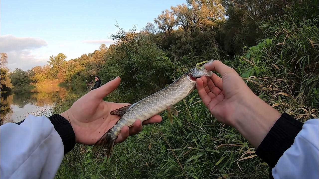 Река дема в башкирии. Рыбалка в башкирии. Рыбалка на реке дёма. Фидер (рыбная ловля). Рыбалка на реке дёма.