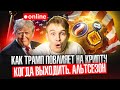 КАК ТРАМП ПОВЛИЯЕТ НА КРИПТУ. АЛЬТСЕЗОН. МЕМКОИНЫ.