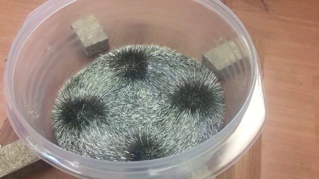 Magnetic polishing machine