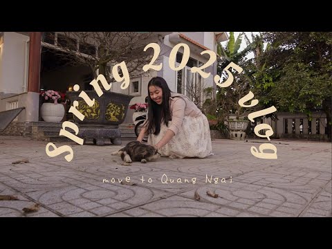 Spring 2025| Tet vlog - Đón năm mới ở Quảng Ngãi