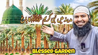 Garden of the Prophet (PBUH) in madinah | Ziyarat Madinah | Abdul Latif Chohan