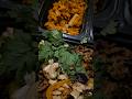 Things that nourish my body, soul and #freeformlocs yes, I made this. No #recipe