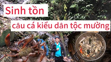Hà vlog97 | trải nghiệm sinh tồn bắt cá suối kiểu dân tộc Mường Phú thọ