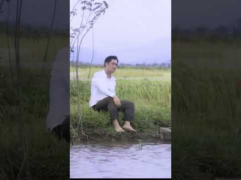 Video Thuở ấy chúng mình hay ngắm nhìn trăng lên | Trịnh... - youtube