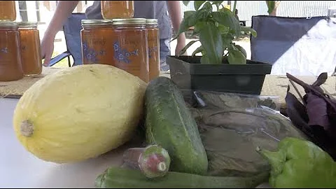 UD Fresh to You farm stand offers student-grown produce