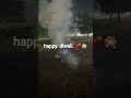 the. lights. of. diwali