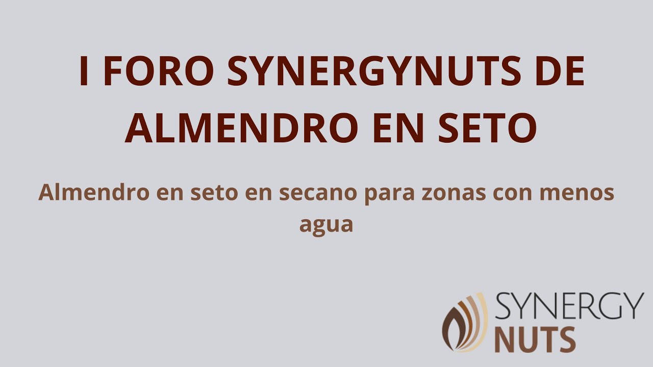 I FORO SYNERGYNUTS DE ALMENDRO EN SETO. Almendro en seto en secano para zonas con menos agua.