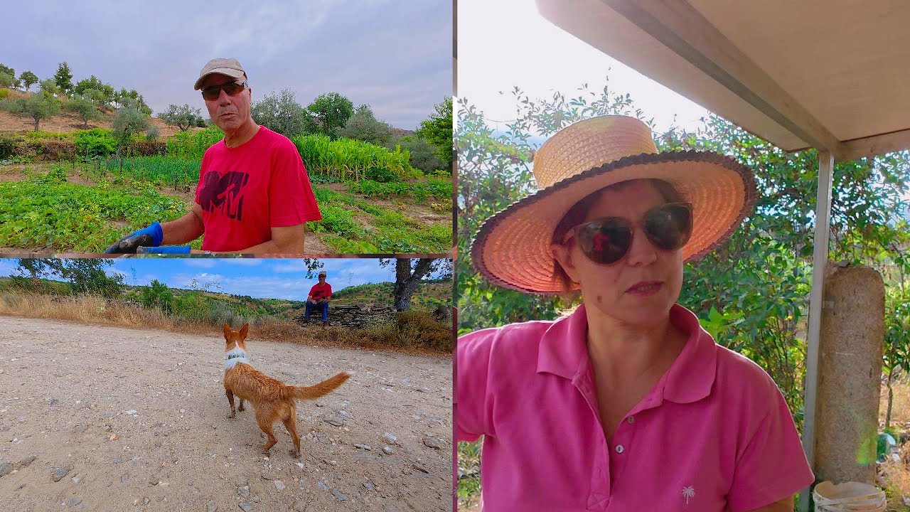 COMO GANHAR DINHEIRO RÁPIDO NA HORTA