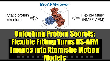 Unlocking Protein Secrets: Flexible Fitting Turns HS-AFM Images into Atomistic Motion Models