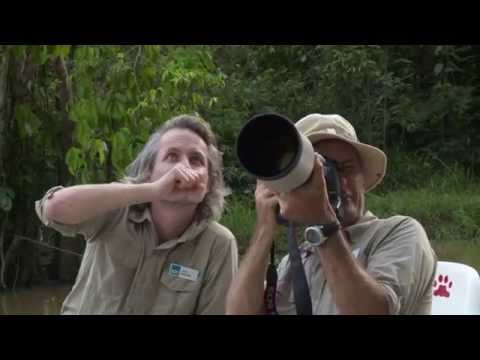 Video: De 9 bästa museerna att besöka på Borneo