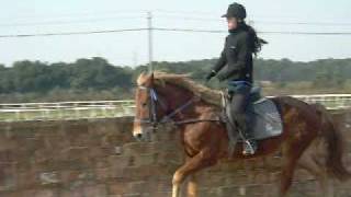 DSCN0041.AVI