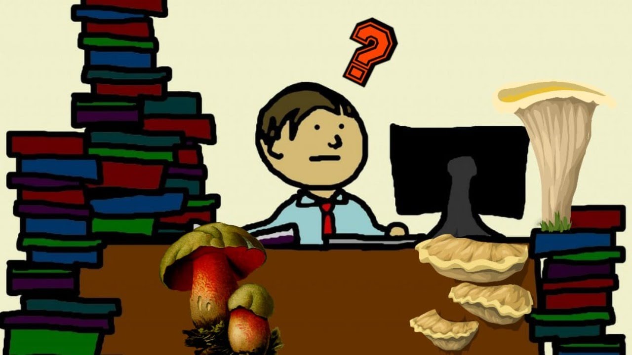 #37.🔺 EXAMEN de micología ONLINE