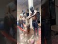 gav ka holi