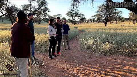 Sunrise Bushman walk at Intu Afrika Kalahari Game Reserve in Namibia, southern Africa-3