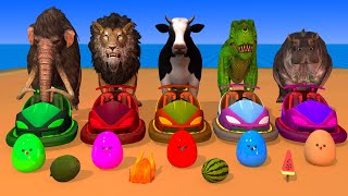 Animal Games Egg, Cow, Mammoth, Lion, Dinosaur, Hippo, Cross the Water Transfiguration