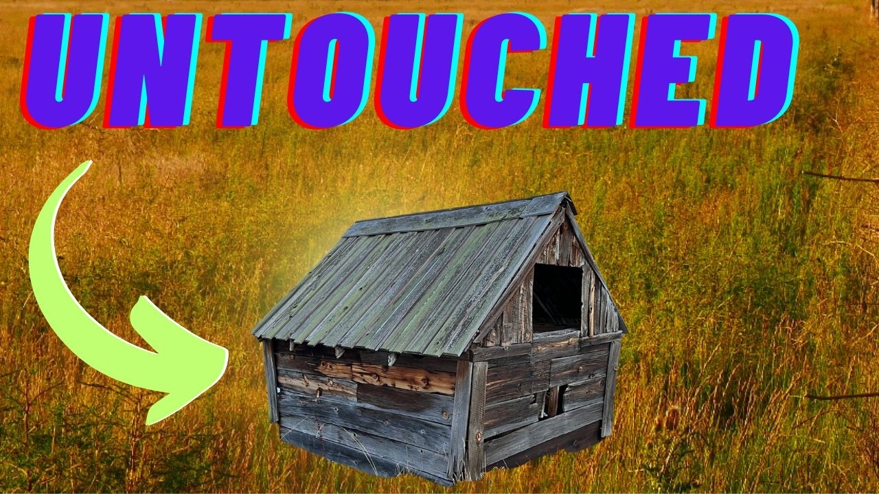 TREASURE TROVE!!! 1000's of WILD WEST Relics and MORE+++