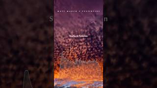 Vespertine (Clickthrough Sampler - Part 2)