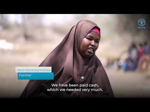 Strengthening food security and resilience for drought affected communities in Somalia