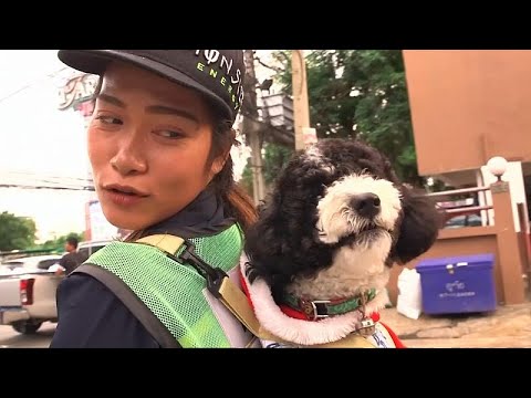 Bangkok street sweeper is carrying her dog to work