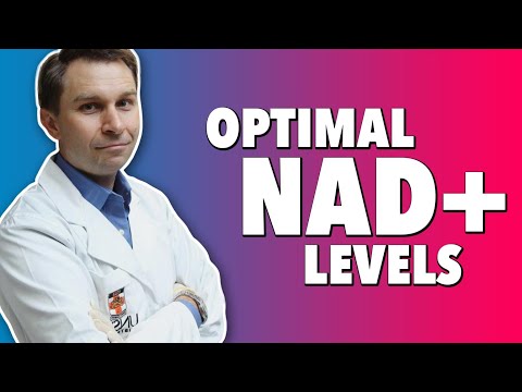 Видео: NAD+ нь эсийн амьсгалын асуултанд ямар үүрэг гүйцэтгэдэг вэ?