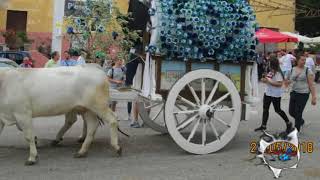 Carrese di San Pardo 2018 (25-26-27-Maggio)