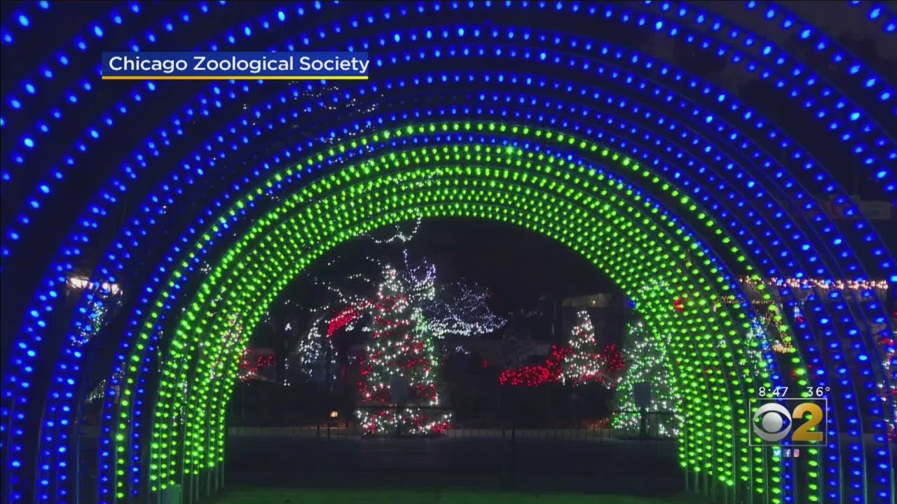 Brookfield Zoo Christmas Lights Hours Shelly Lighting