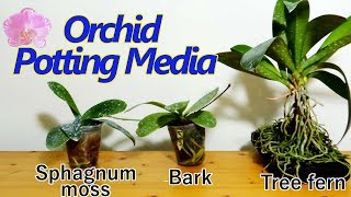 Orchid Potting Media