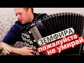 Это просто ШЕДЕВР ! ! ! Земфира Хочешь на Баяне / Amazing music on the Accordion