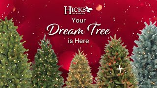 Hicks Nurseries Lifelike Christmas Trees 2024 15 sec