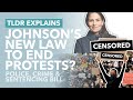 End of Protests in Britain? The Controversial 'Police, Crime, Sentencing & Courts Bill' - TLDR News