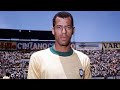 Carlos alberto best skills  goals