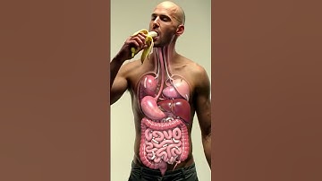 "Inside Your Gut 🦠 | 3D Animation of Banana Digestion & Hidden Parasite Worms | Anatomy Art USA"