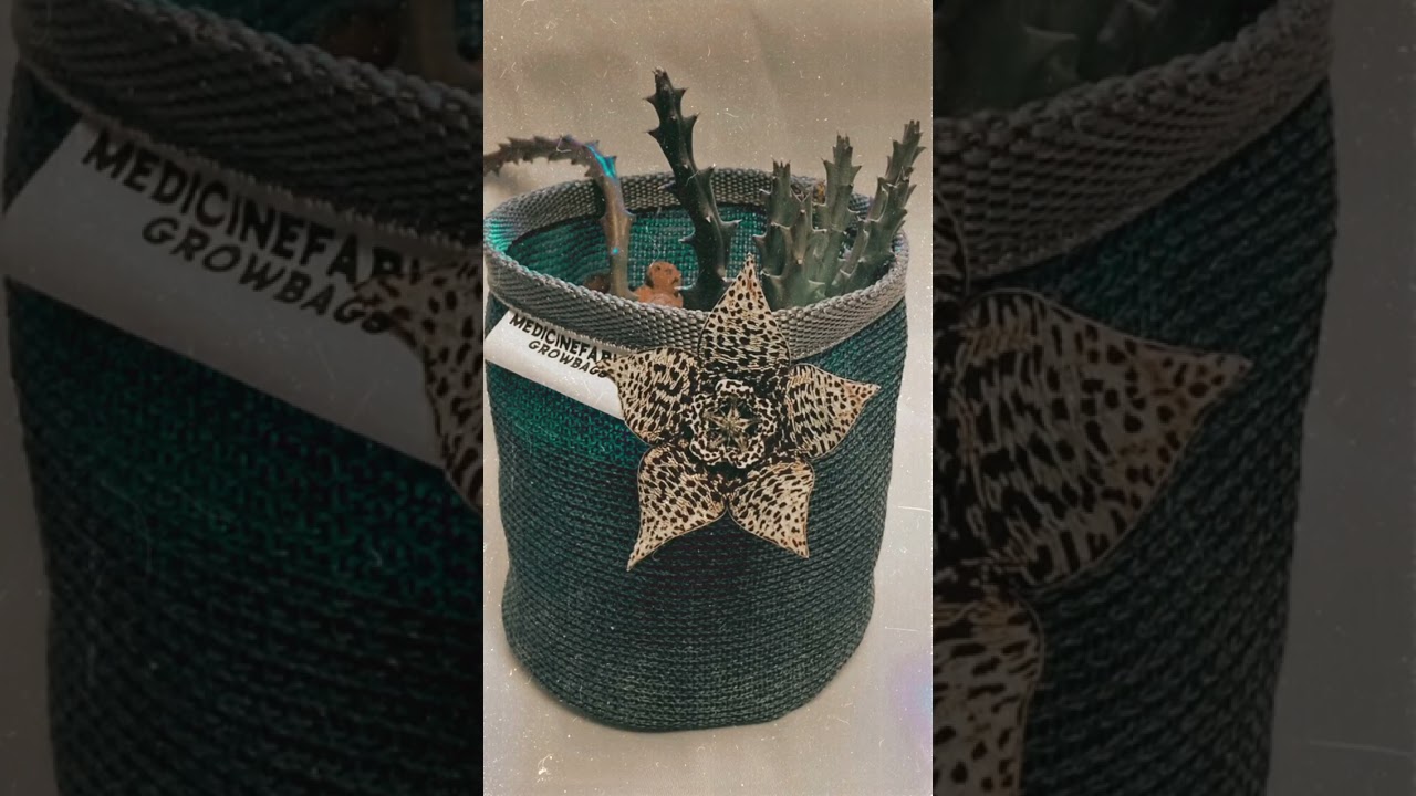 counter top 1.4L SoloBags just brings that class to any living space and lounging area