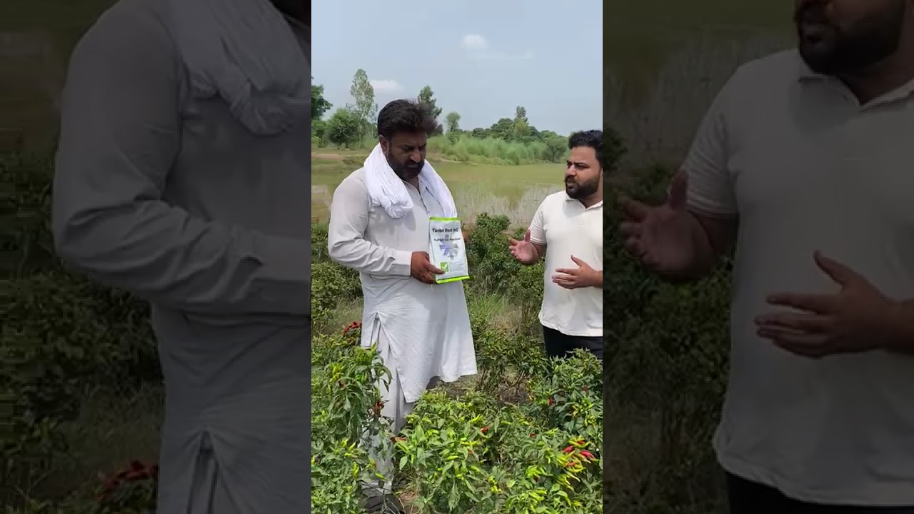 Altiga Turbo root| Farmer Satisfying| Boost up the Yield|