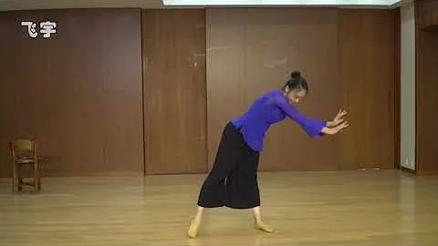 Chinese Dance Instructional Solo - Dian Jiang Chun