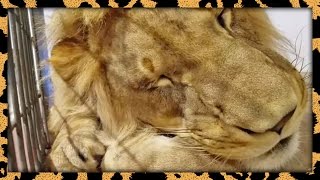 BigCatDerek's Big Saturday Instagram Dump 1/7