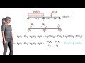 SA60: The Three-Moment Equation for the Analysis of Continuous Beams (Part I)