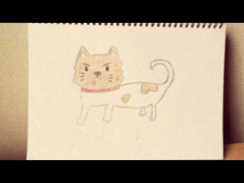 shoa - 『ら・ら・ら』 music video