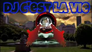 Dj Angklung | C'est La Vie FULL BASS