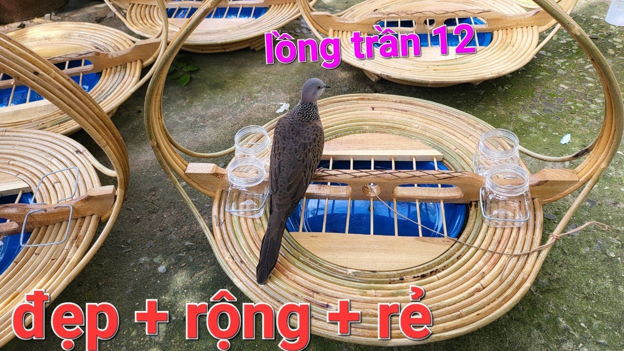 LỒNG TRẦN ĐẠT NHIỀU TIÊU CHÍ , RẺ + RỘNG + ĐẸP | 0944445089